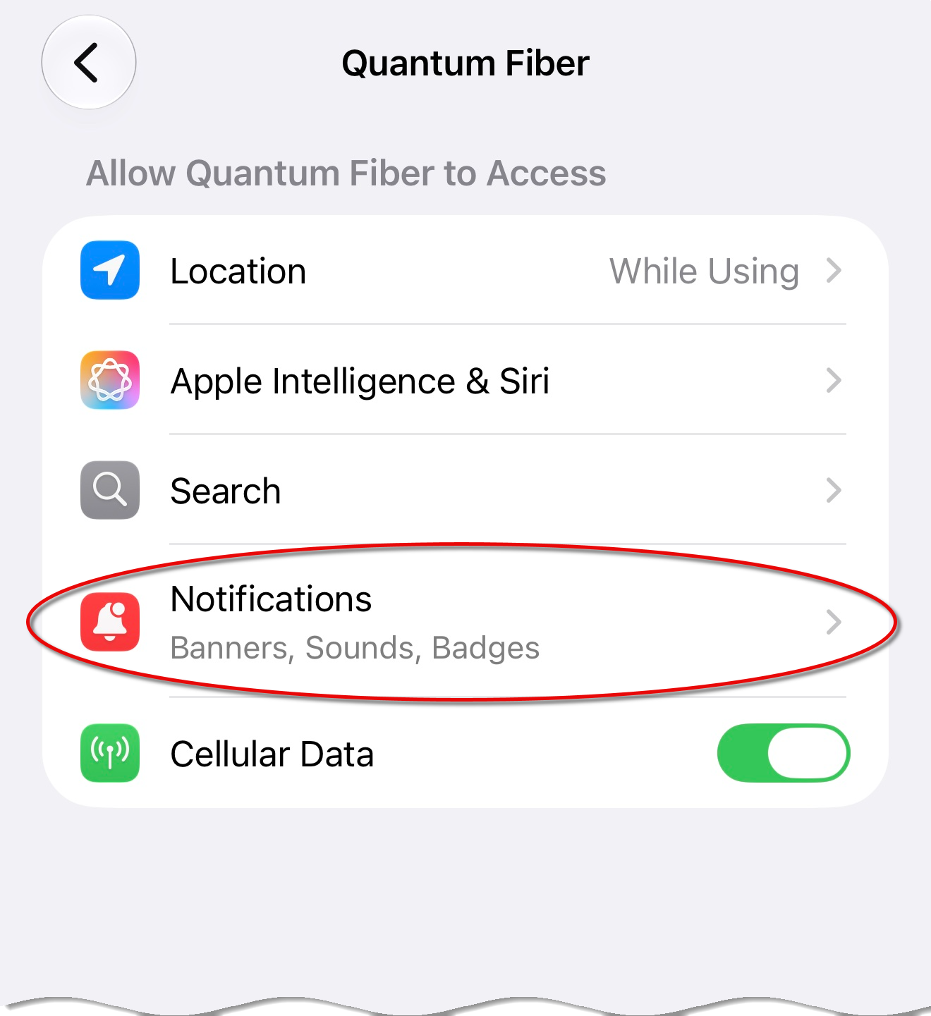 Screenshot of connected devices screen in Quantum Fiber app