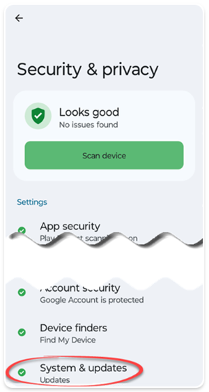 Example screenshot of security and privacy menu